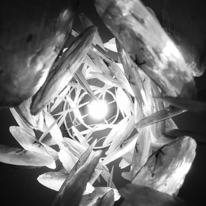 015731C5-917D-458C-8F44-113FD93468B6