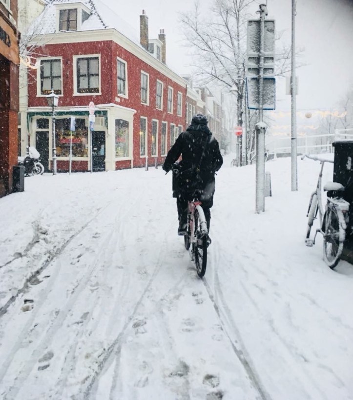 1FC66D18-14BE-441D-970C-05F5FD7FF9D5