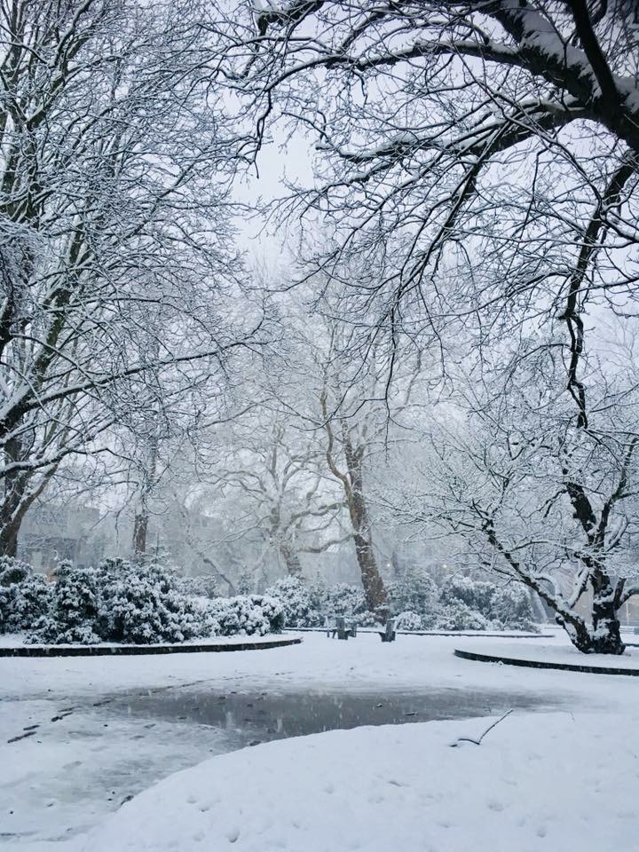 3E3E4860-1A68-4E22-BDCD-A9FAA0BD9256