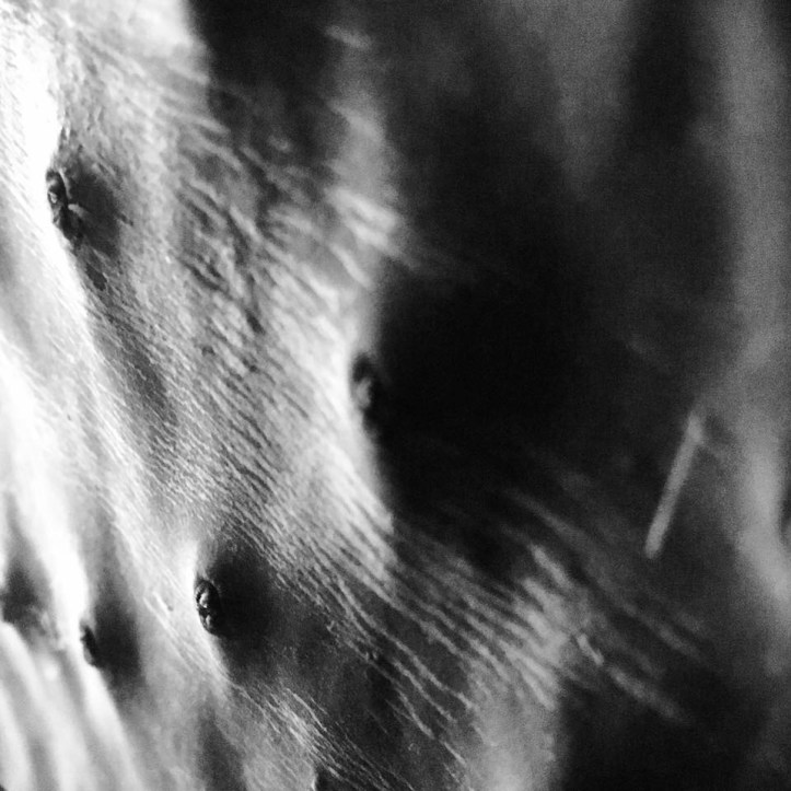 749CC542-7BC0-4910-865A-2BB4B6C97387