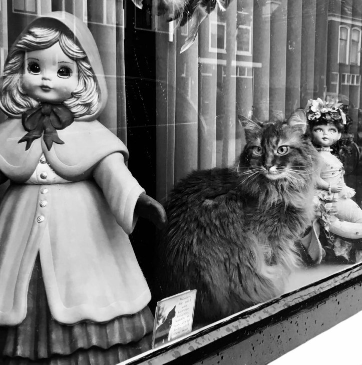 B3541FC3-00B6-4F00-91E4-F83CA8D5DA44