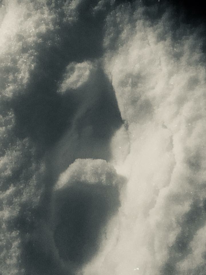 D20EB96B-0141-457E-81AD-E75308C9CFEF